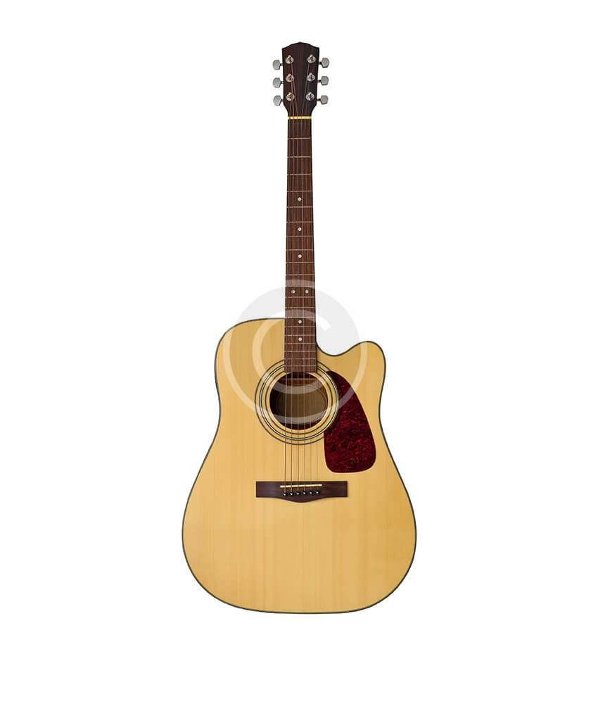 Acoustic Guitar